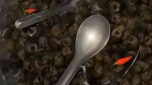 tai-sao-ngam-oc-phai-cho-do-dung-inox-vao-chau-ngam