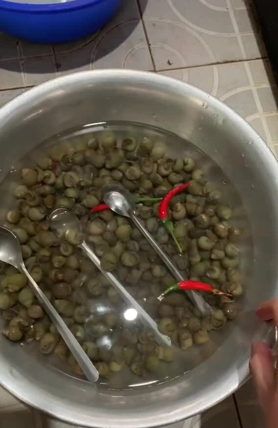 tai-sao-ngam-oc-phai-cho-do-dung-inox-vao-chau-ngam